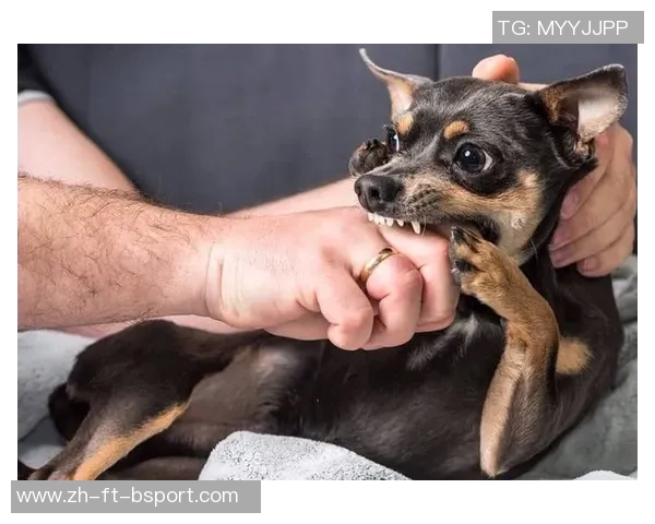 亚马尔父亲:活着就是为了死,而不是为了成为任何人的狗 亚马尔父亲:活着就是为了死,而不是为了成为任何人的狗